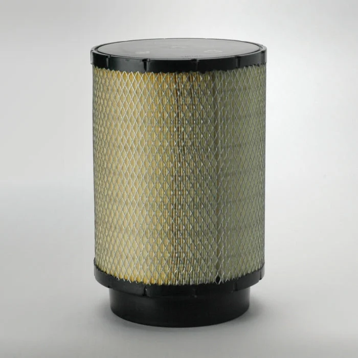 Donaldson B085056 Air Filter