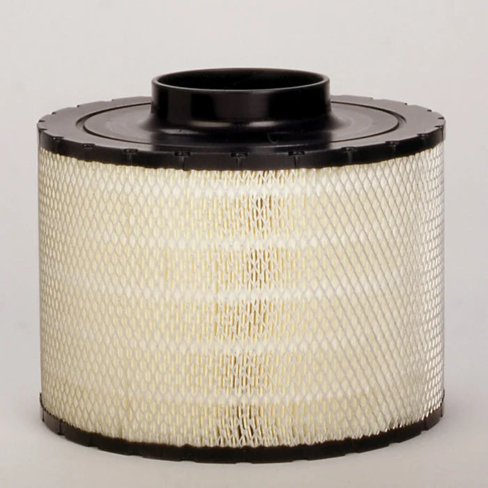 Donaldson B125011 Air Filter