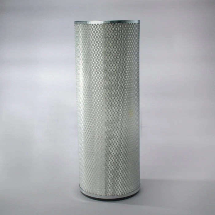 Donaldson P116446 Air Filter
