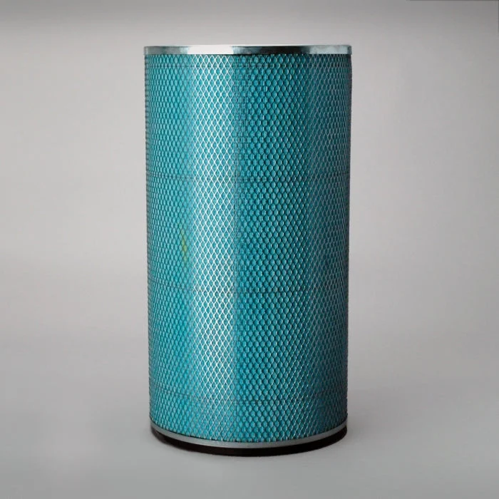 Donaldson P117781 Air Filter