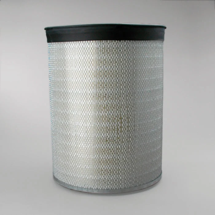 Donaldson P181038 Air Filter