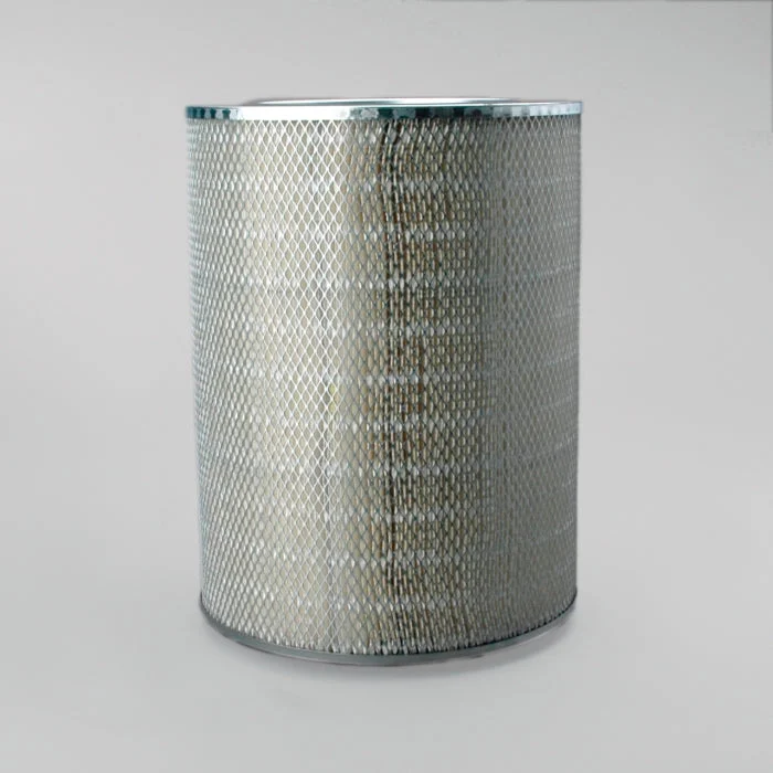 Donaldson P181039 Air Filter