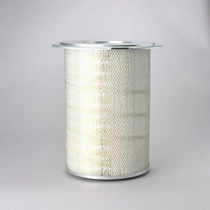 Donaldson P181055 Air Filter