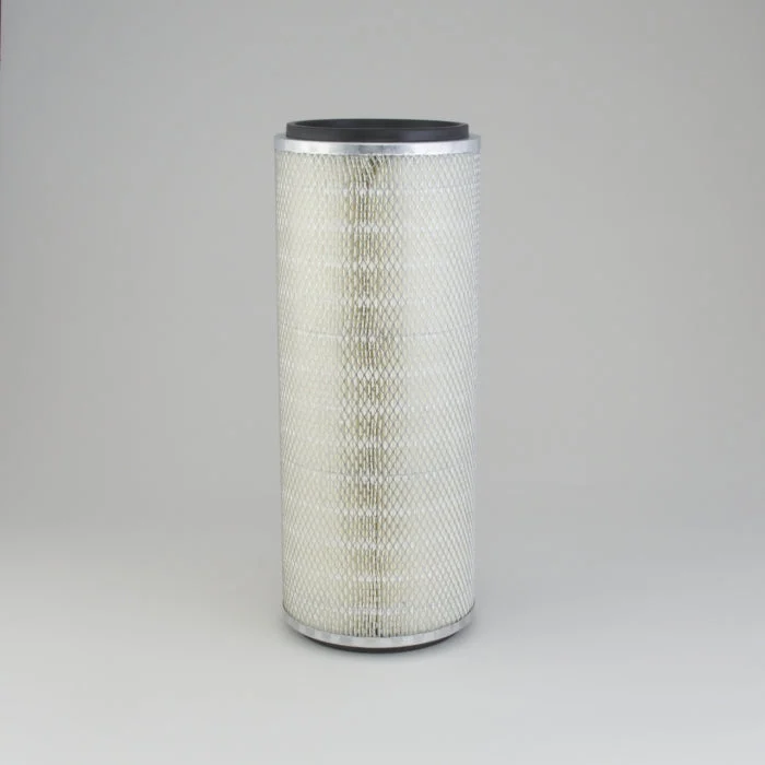Donaldson P181098 Air Filter