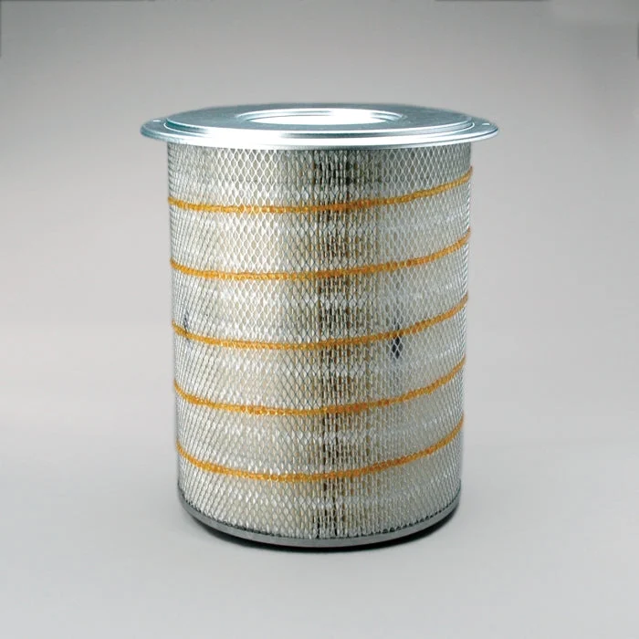 Donaldson P181099 Air Filter