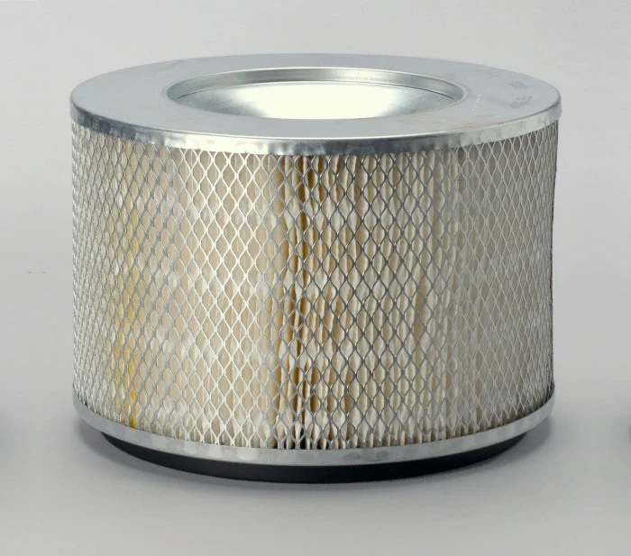 Donaldson P532931 Air Filter