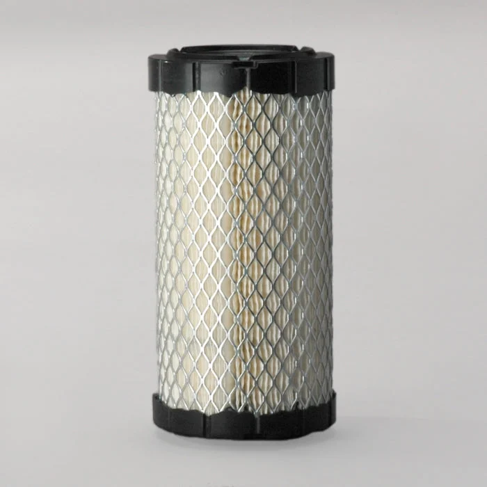 Donaldson P822686 Air Filter