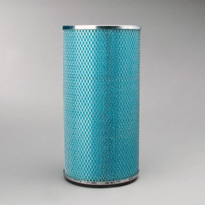 Donaldson P114931 Air Filter