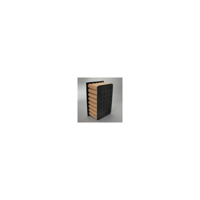 Donaldson P142805 Air Filter