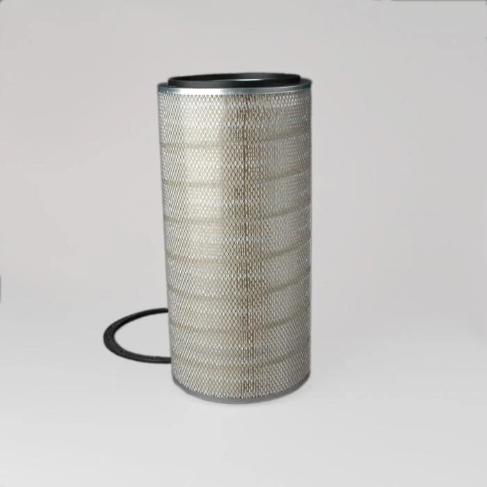 Donaldson P181009 Air Filter