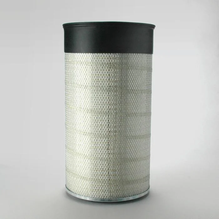 Donaldson P182049 Air Filter