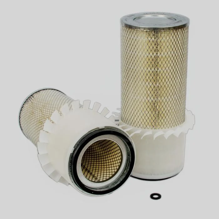 Donaldson P182063 Air Filter
