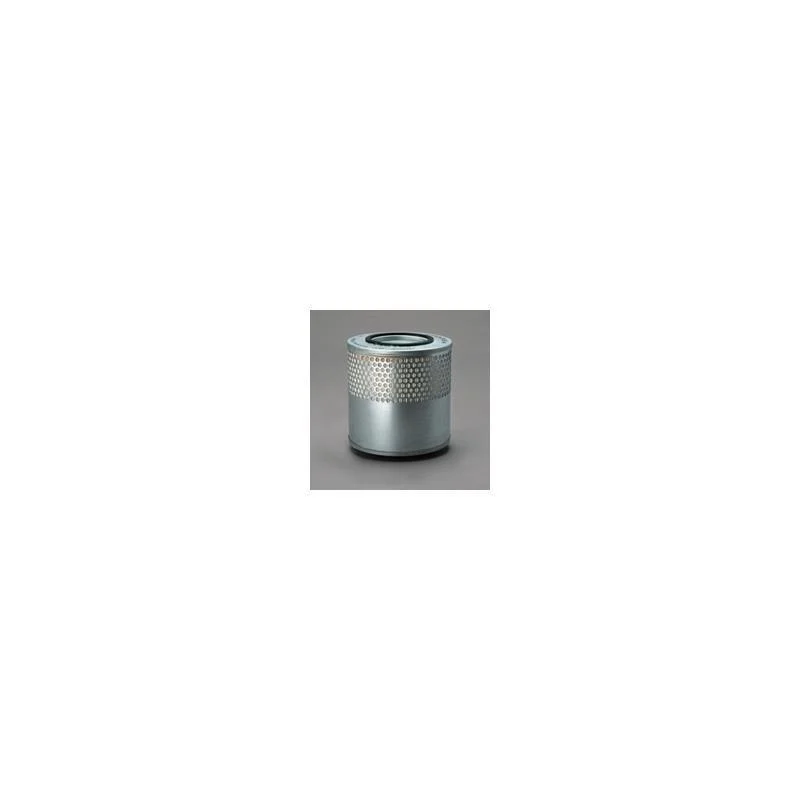 Donaldson P500064 Air Filter