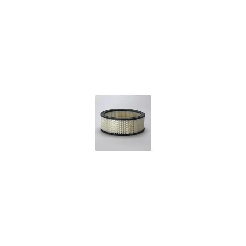 Donaldson P524351 Air Filter