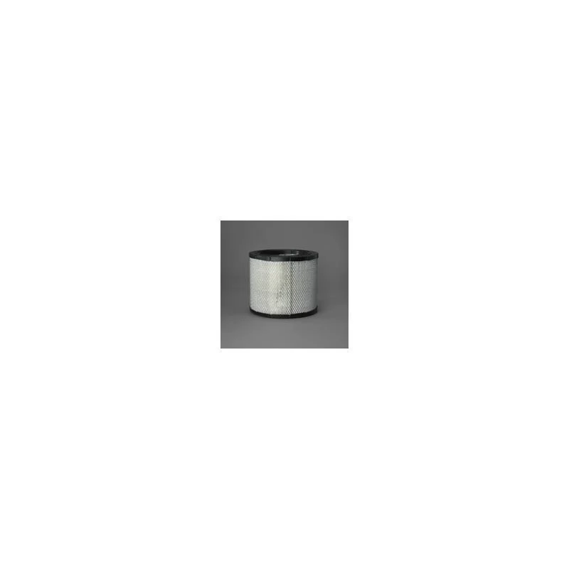 Donaldson P546755 Air Filter