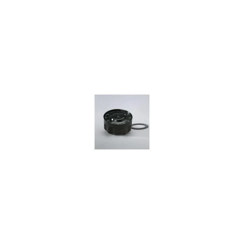 Donaldson P565858 Hydraulic Filter