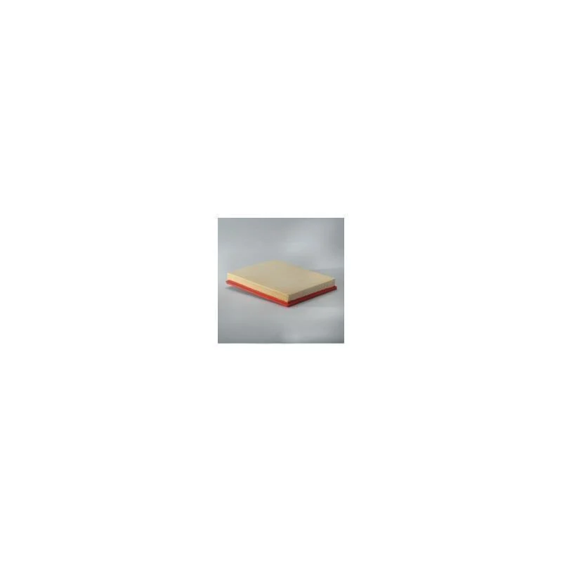 Donaldson P606062 Air Filter