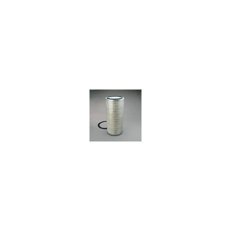 Donaldson P607351 Air Filter