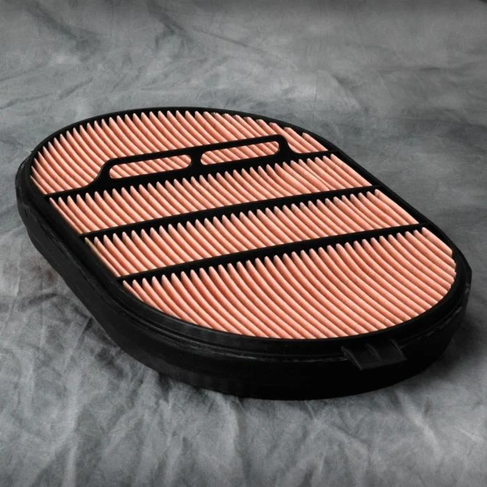 Donaldson P607557 Air Filter