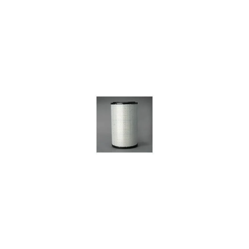 Donaldson P608885 Air Filter