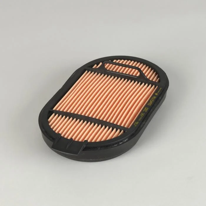Donaldson P615493 Air Filter