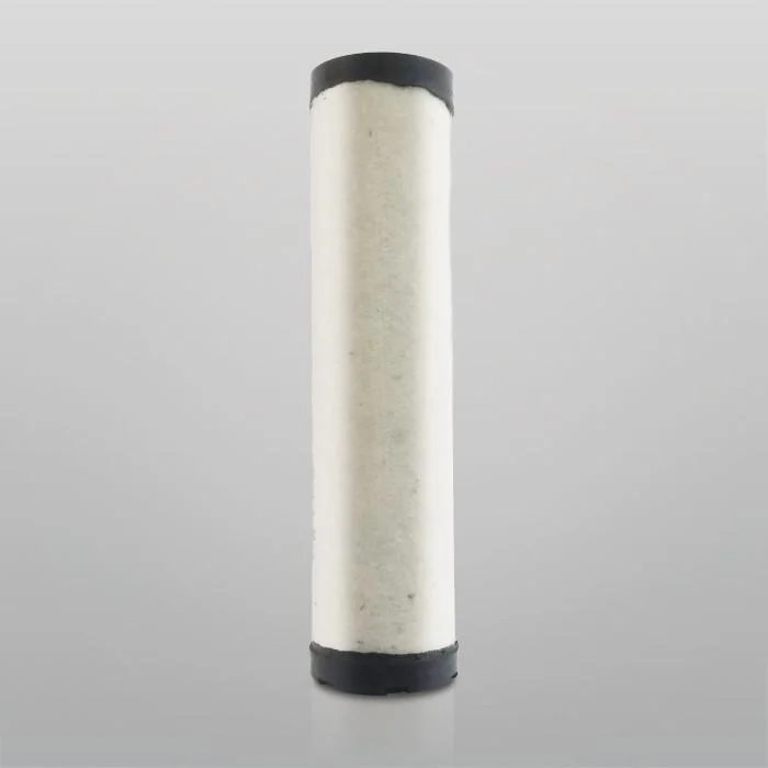 Donaldson P780012 Air Filter