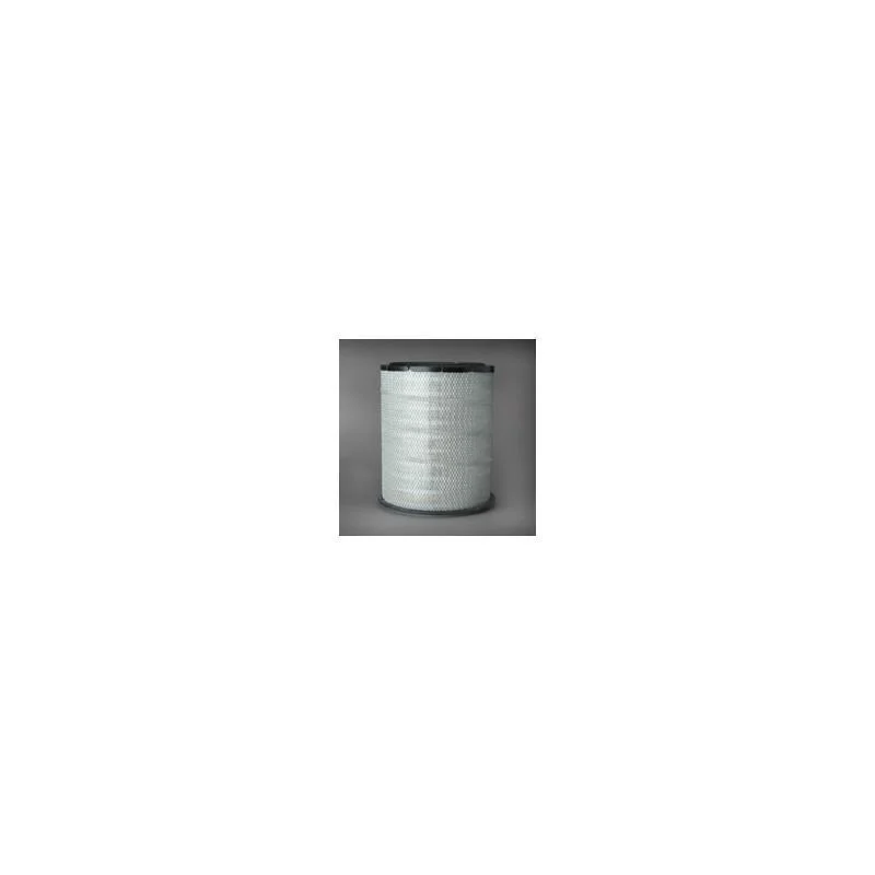Donaldson P782396 Air Filter