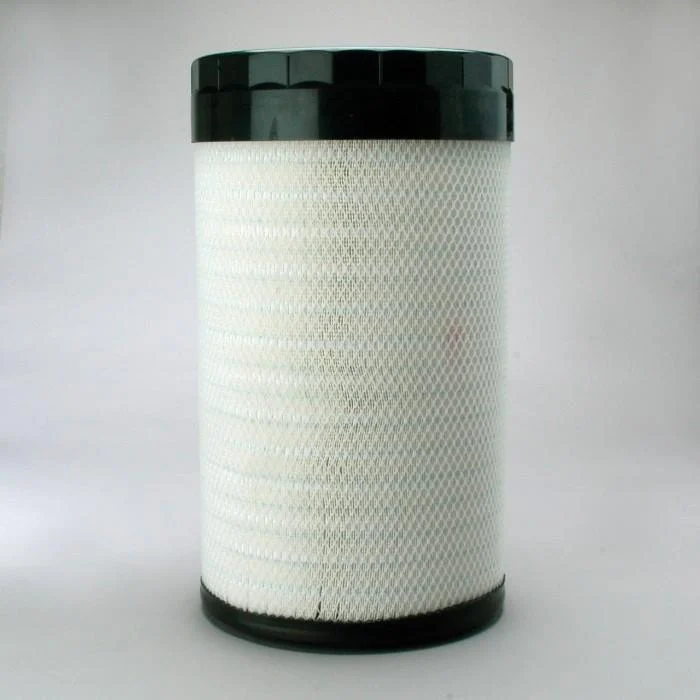 Donaldson P785394 Air Filter