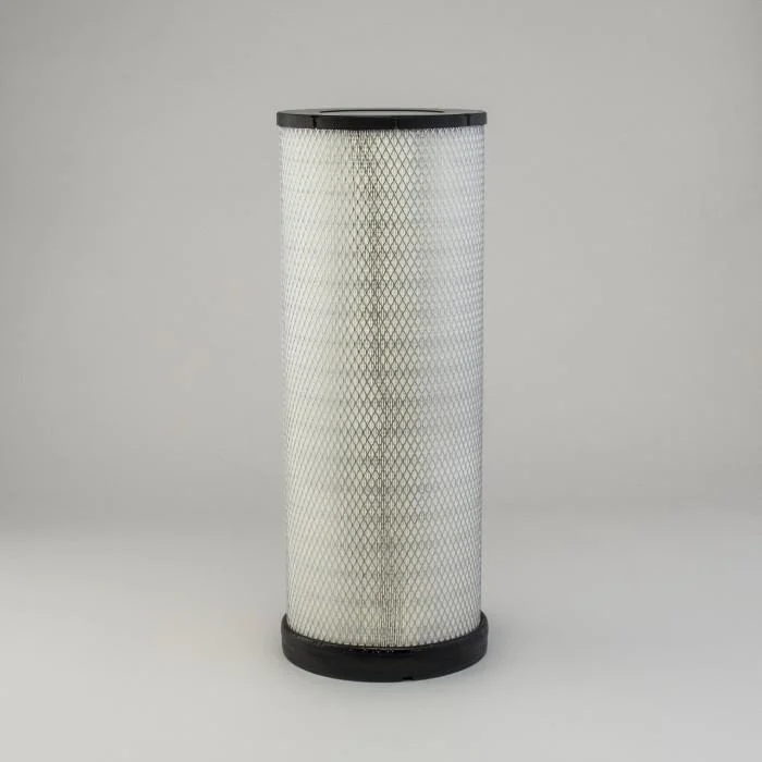 Donaldson P785395 Air Filter