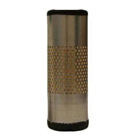Fleetguard AF25290 Air Filter