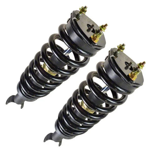 Front Strut and Spring Assemblies (06-08 4WD RAM 1500 Regular Cab, Quad Cab)